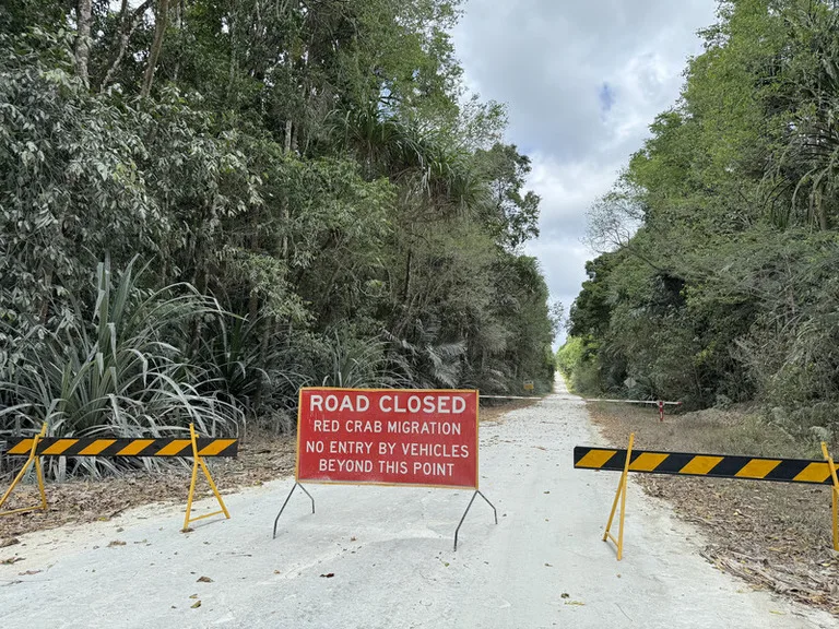クリスマス島の赤ガニ移動シーズンに出される通行止めの標識