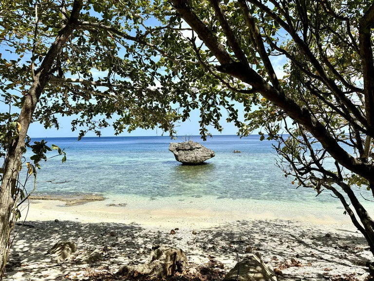 オーストラリア領クリスマス島のフライングフィッシュ湾(Flying Fish Cove)の風景