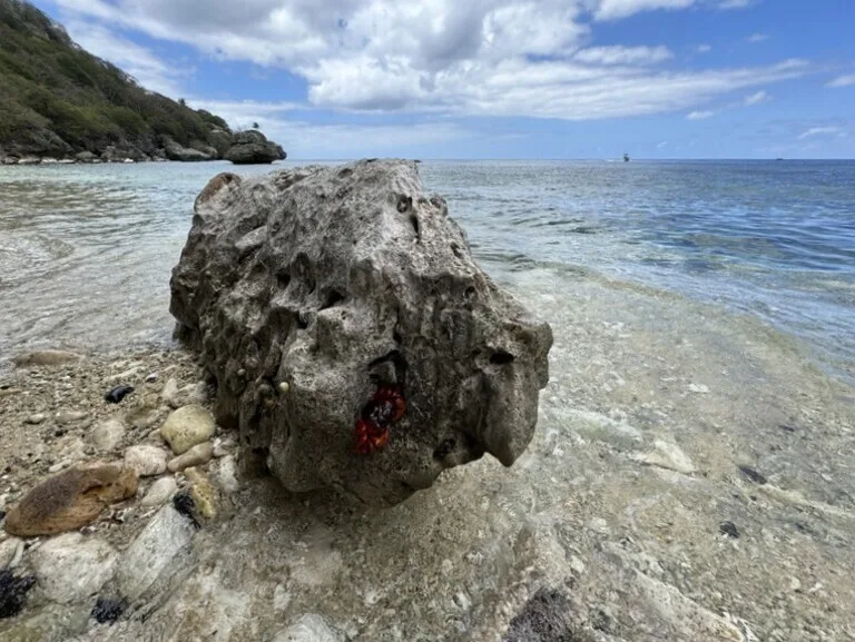 クリスマス島のフライング・フィッシュ・コーブのビーチの風景