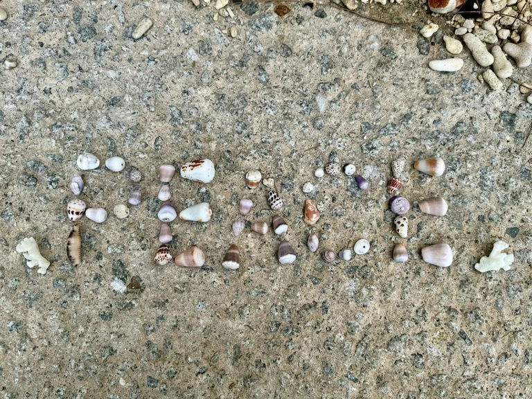 クリスマス島のビーチで貝殻で作った「PEACE」の文字