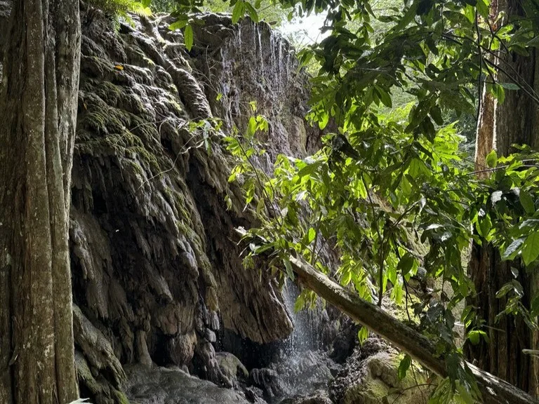 クリスマス島のThe Dales(ザ・デイルズ)にある滝とその風景