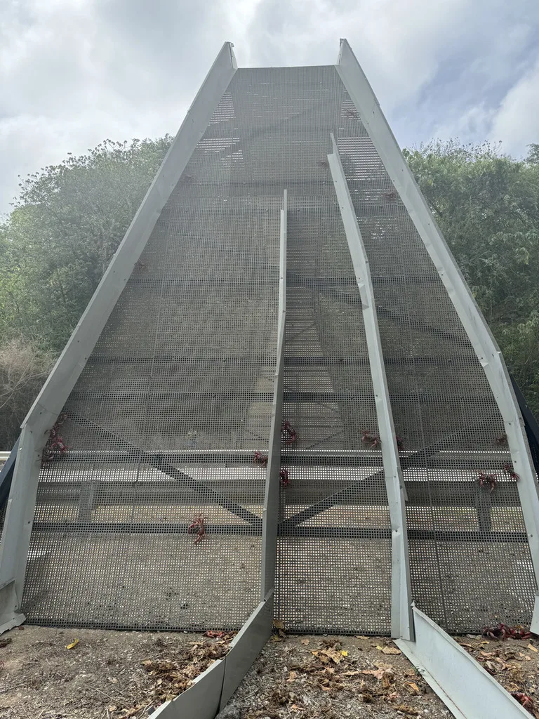 オーストラリア領クリスマス島の観光名所にもなっているカニ専用の橋