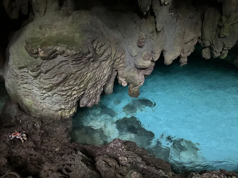 クリスマス島の人気観光スポットThe Grotto(グロット)とそこにいたヤシガニ(Coconuts Crab)