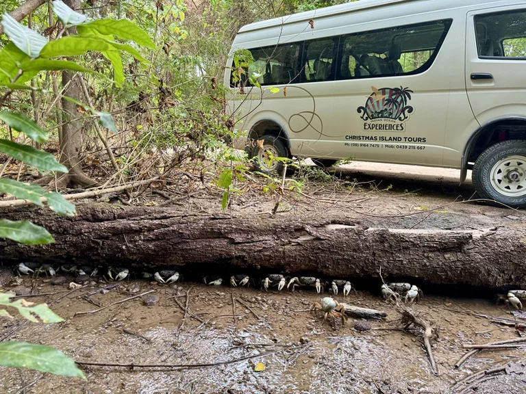クリスマス島のブルークラブとツアー会社のバン