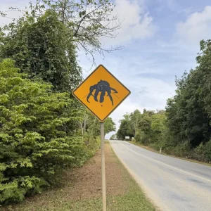 オーストラリア領クリスマス島の赤ガニ注意の標識