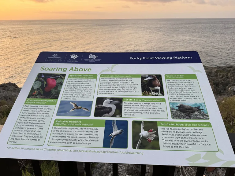 クリスマス島で生息する鳥類を紹介している観光案内