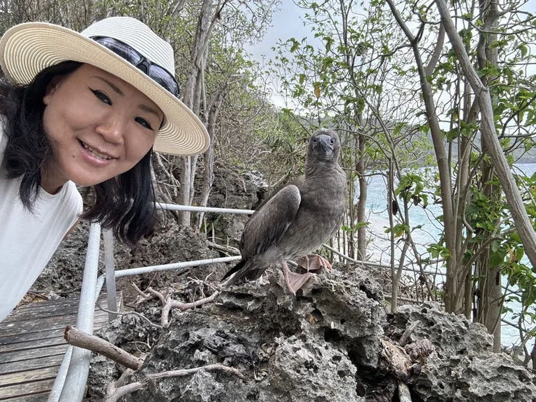 クリスマス島、Ethel Beachの遊歩道脇にいるカツオドリと自撮りする観光客