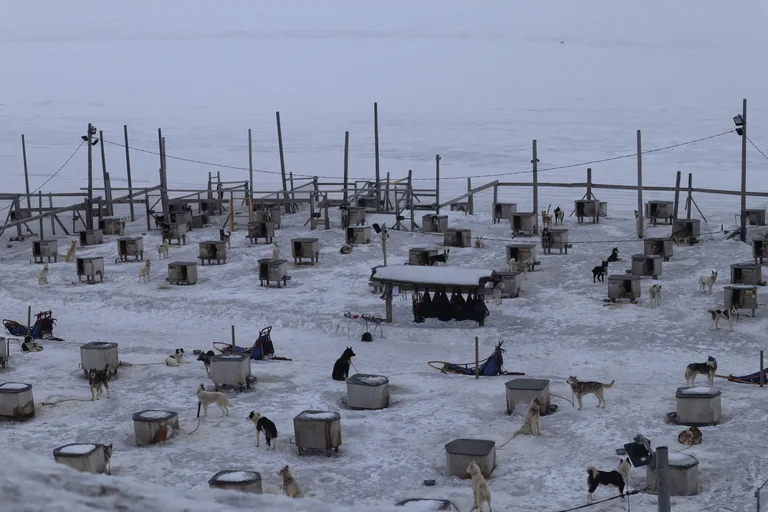 スバールバル諸島の犬ぞりの犬たちと犬小屋