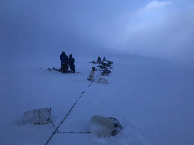 スバールバル諸島の雪原の中で休みを取る犬ぞりチーム
