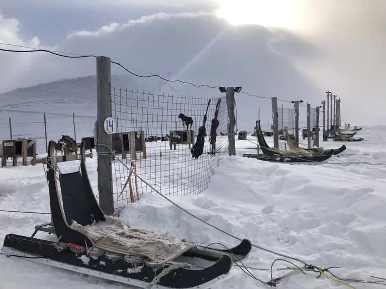 スヴァ―ルバル諸島の雪の中に置かれている犬ぞりのそり部分
