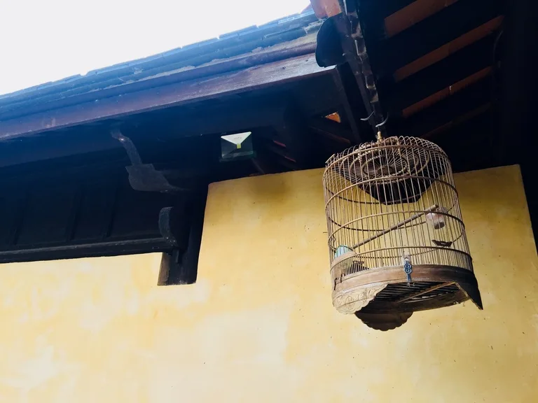 フエ王宮の天井に吊った鳥かご