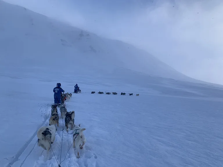 北極圏ロングイェールビーン(Longyearbyen)発の犬ぞりツアーの様子。2グループの隊列