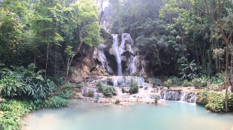 ルアンパバーンの観光名所、エメラルド色の水が流れるクアンシーの滝（Kuang Si Waterfall） の多段テラス