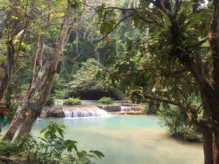 ルアンパバーンの観光名所、エメラルド色の水が流れるクアンシーの滝(Kuang Si Waterfall) の多段テラス