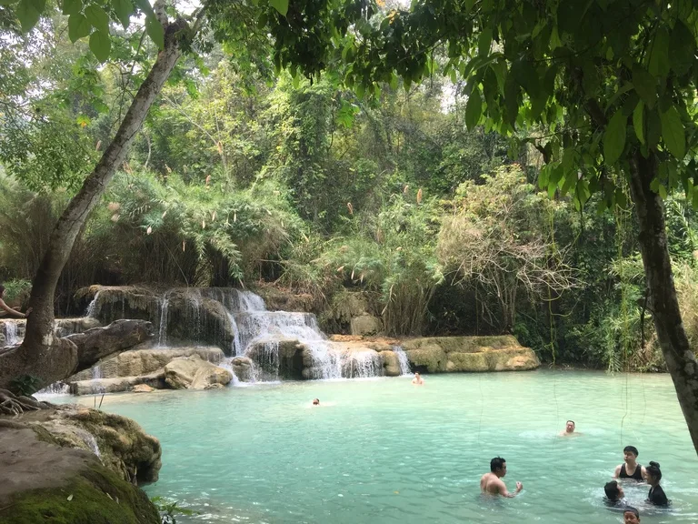ルアンパバーンの観光名所、エメラルド色の水が流れるクアンシーの滝（Kuang Si Waterfall） の多段テラスで泳ぐ人たち