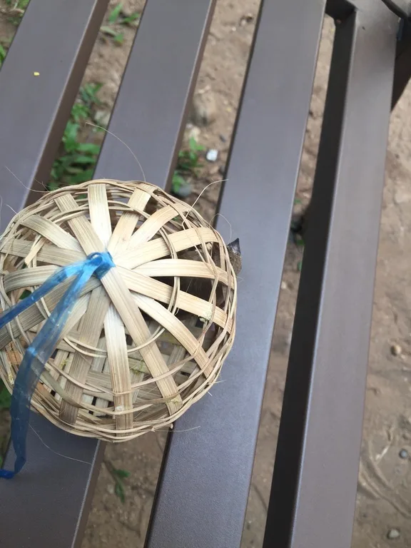 プーシーの丘(Phousi Hill)で売られているカゴに入ったスズメ