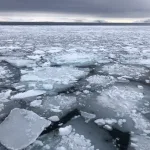 北極海クルーズのフェリーからみた氷片は漂う様子