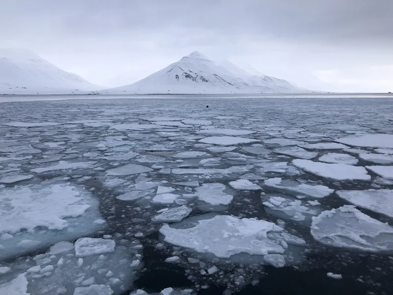 北極フィヨルドBillefjordenの奥に広がる雪山と海氷の景色