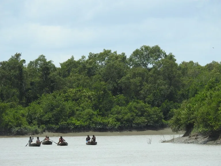 バングラデシュのデルタ地域