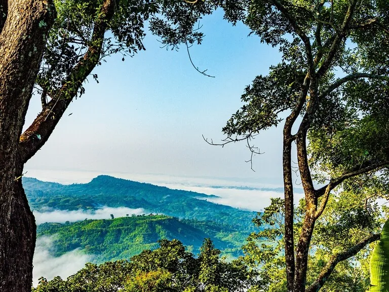 バングラデシュのサジャルガンジ（Sajek Valley）