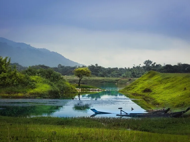 バングラデシュにあるシレットの茶畑（Sylhet Tea Gardens）