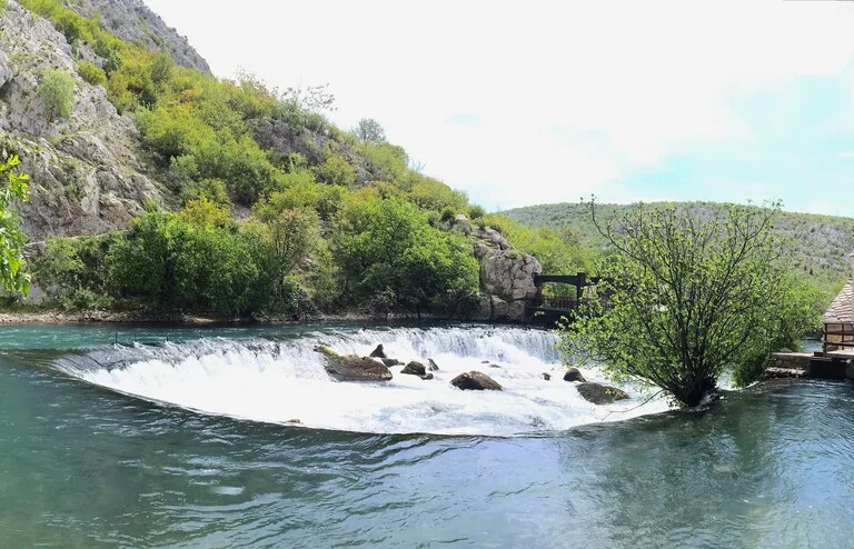 静寂に包まれたブラガイのブナ川源流