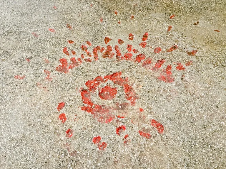 ボスニア紛争の爪痕、サラエボの地に残された爆弾跡、血のバラ