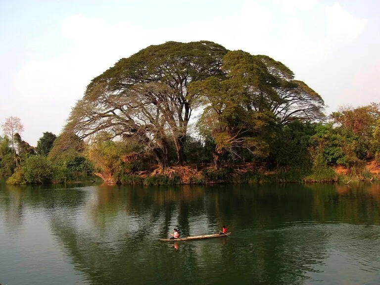 ラオスのシーパンドン（Si Phan Don／Four Thousand Islands）