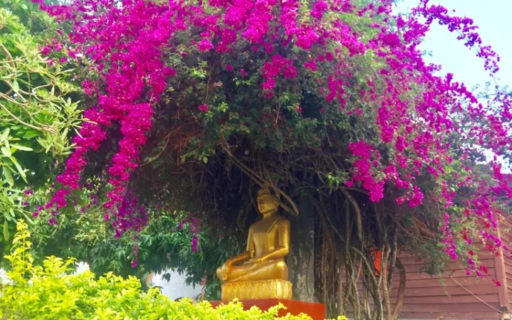 ルアンパバーンの町に置かれた仏像と花