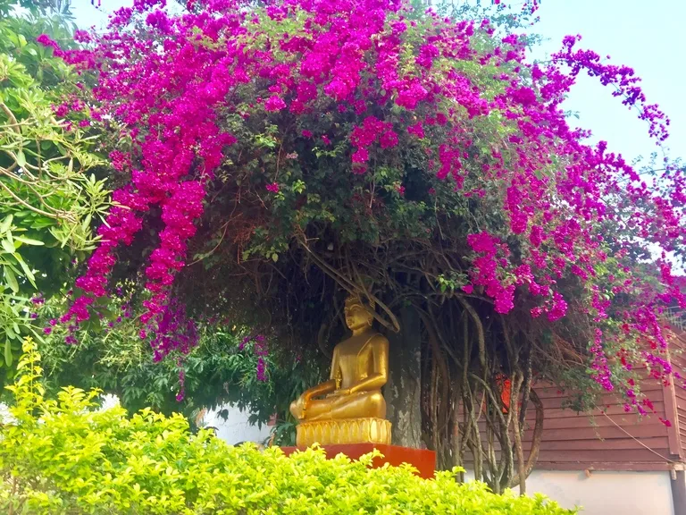 ルアンパバーンの町に置かれた仏像と花