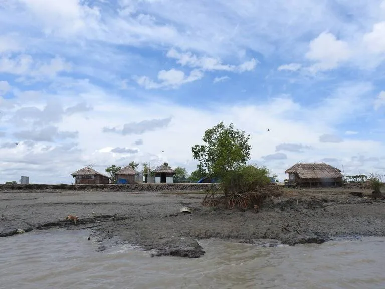バングラデシュのデルタ地帯の風景