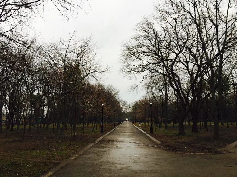 沿ドニエストル共和国の公園