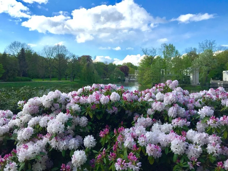 ワルシャワのラジエンキ公園（Łazienki Park）に咲く花