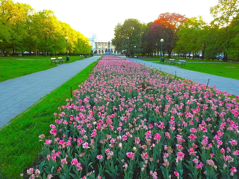 ワルシャワのラジエンキ公園（Łazienki Park）