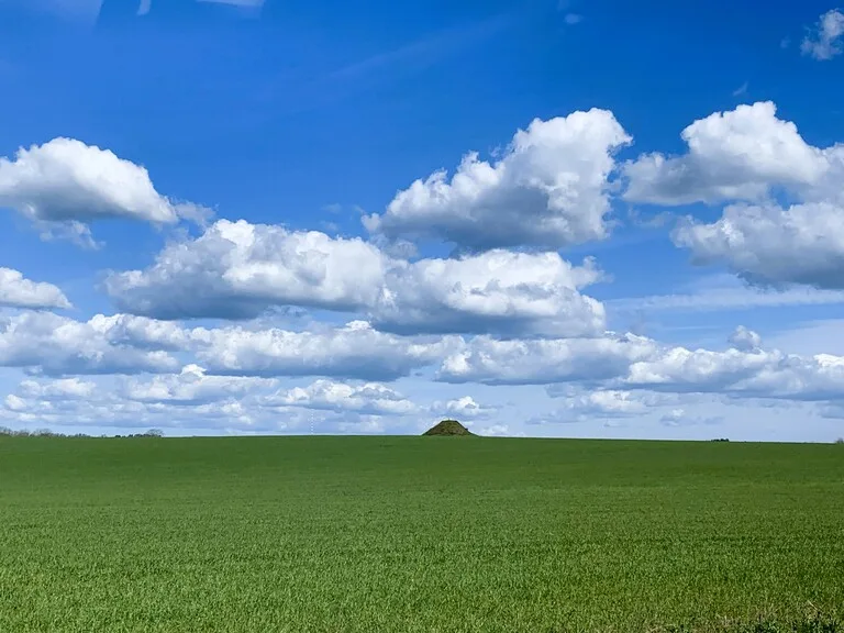 青空の下に広がる緑の草原