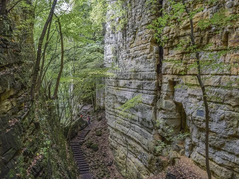 ルクセンブルグのミュラータール地方(Mullerthal Region)の風景