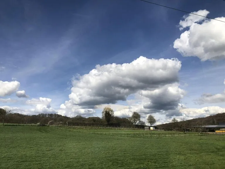 ルクセンブルクの郊外、緑が広がる草原