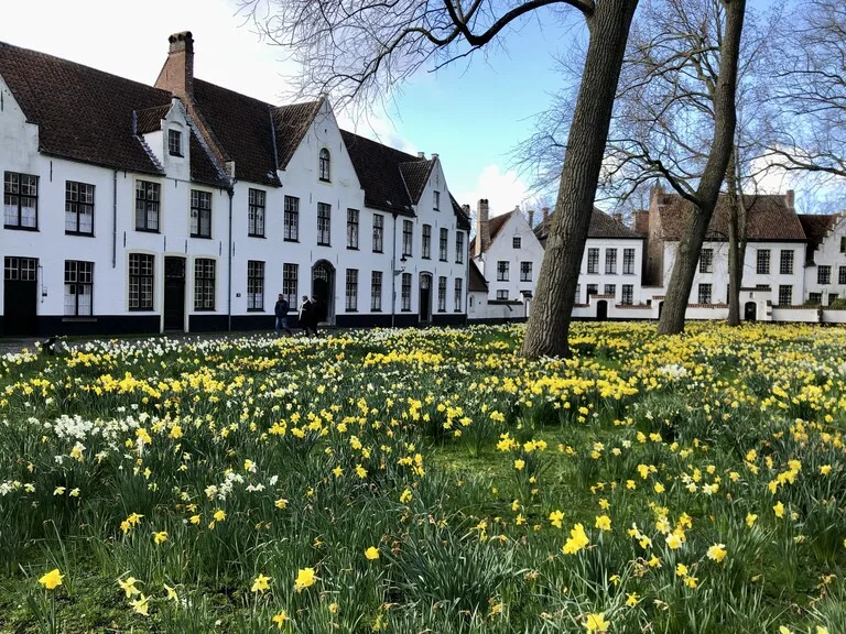 世界遺産、ブルージュのベギン会修道院と水仙の花畑