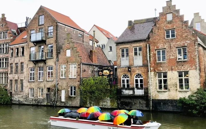 ãã«ã®ãŒã®ã²ã³ãã§åããããŠããŒãã¯ã«ãŒãºããã颚æ¯