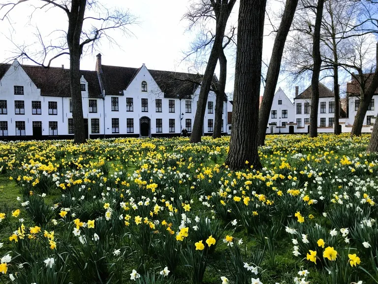ベルギーの世界遺産、ブルージュのベギン会修道院（Beguinage／Begijnhof Ten Wijngaerde）
