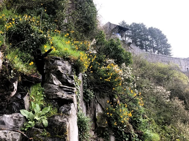 ディナン城塞へ上る途中の崖の様子