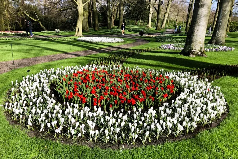 キューケンホフ公園に咲く色とりどりのチューリップ