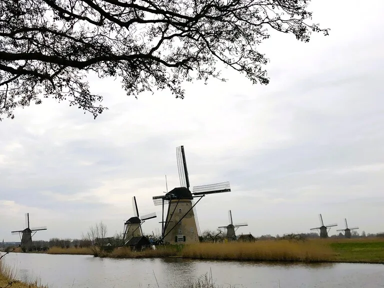 曇り空の下に並ぶキンデルダイク(Kinderdijk)の風車