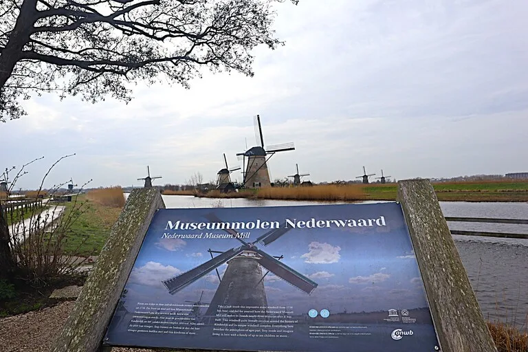 説明看板とともに見えるキンデルダイク(Kinderdijk)の風車