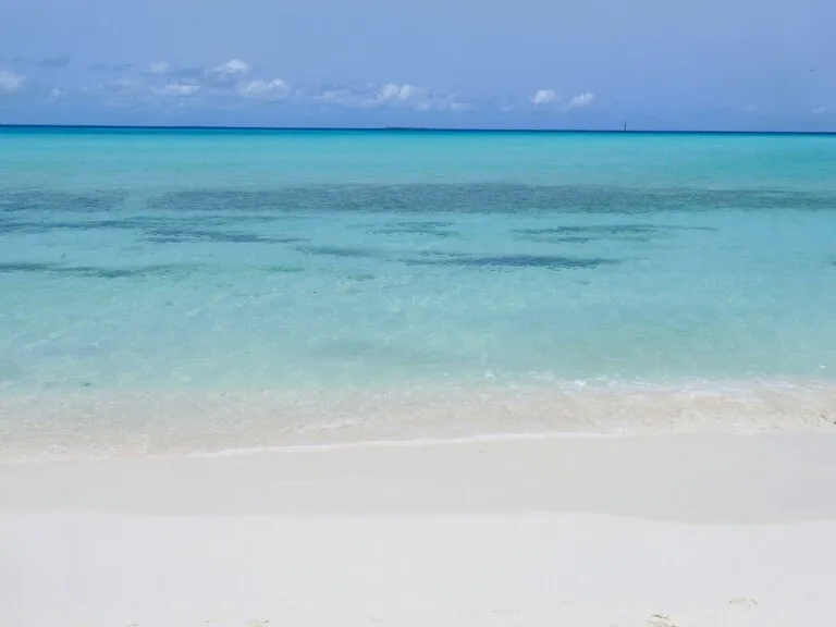 ロスロケス諸島の青い海と白い砂浜