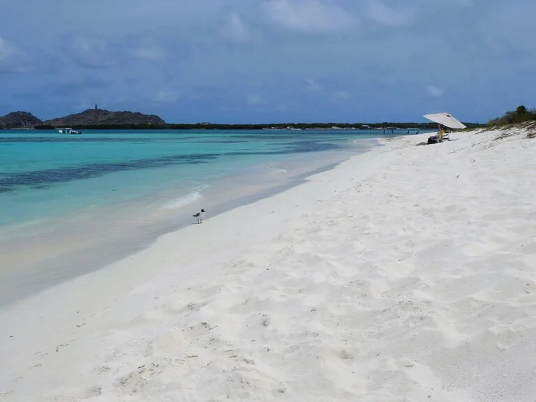 ロスロケス諸島のビーチとパラソル