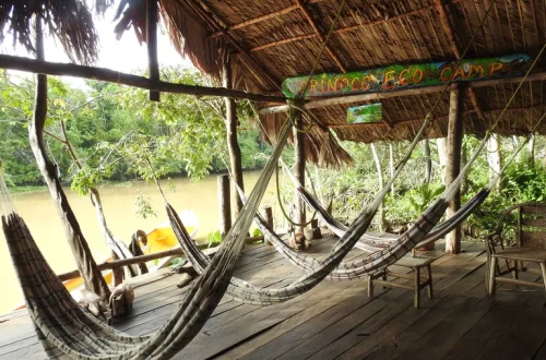 ベネズエラのOrinoco Eco Campにあるハンモック