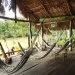 ベネズエラのOrinoco Eco Campにあるハンモック