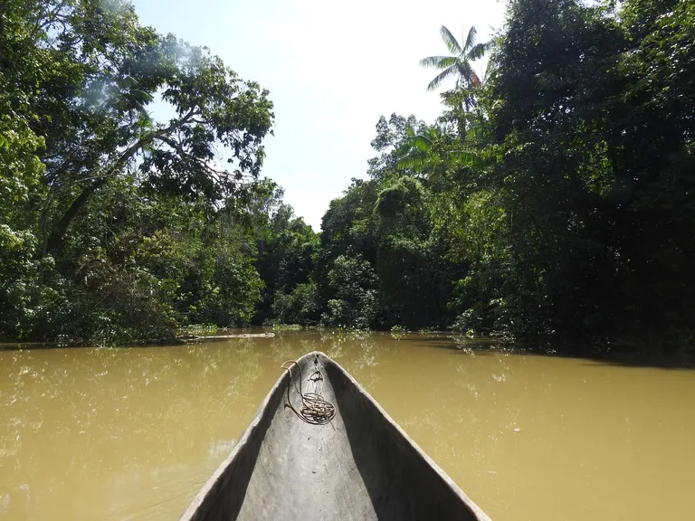 ベネズエラ、デルタオリノコを進むカヌーの先端
