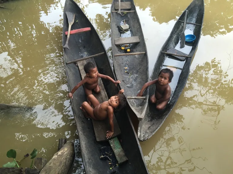 ベネズエラのワラオ族（Warao）の子どもたち